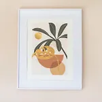 Les Mimosas - 03 Cazaubon